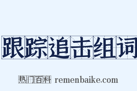 跟踪追击组词是什么意思的图片